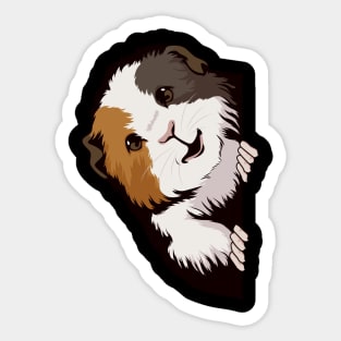 Guinea Pig Looking From The Side Cavy Sticker